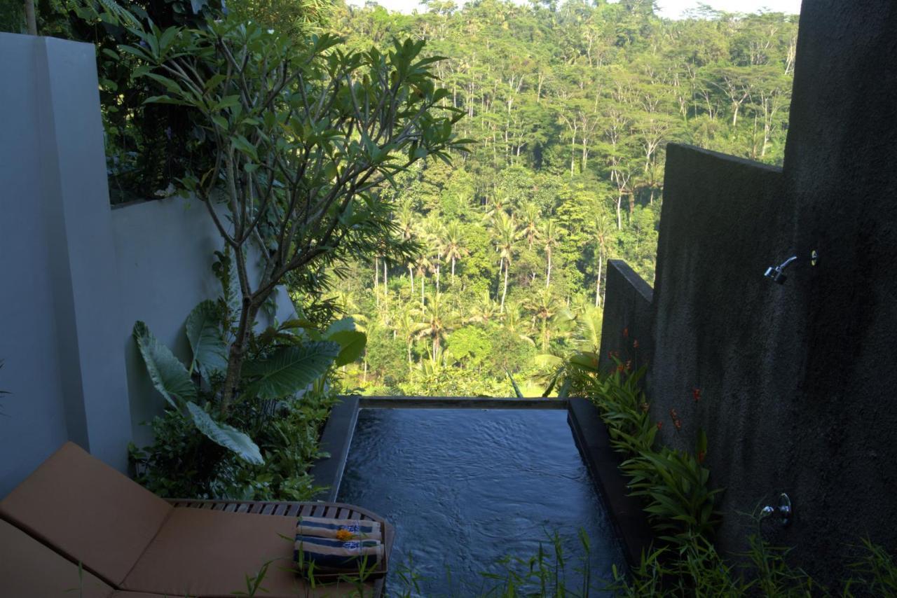 Ayuterra Resort Ubud  Phòng bức ảnh